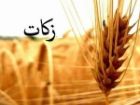 حجت الاسلام هرمز: ظرفیت های مردمی به شکل مطلوب استفاده شود