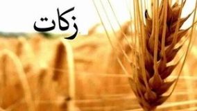 حجت الاسلام هرمز: ظرفیت های مردمی به شکل مطلوب استفاده شود