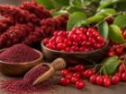 تبریز میزبان طعم ارسباران؛ جشنواره زغال اخته و سماق برگزار می شود