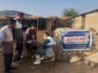 واکسیناسیون نزدیک به 2 هزار رأس دام در مهرستان