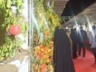 هفتمین جشنواره انار تفت آغاز به کار کرد