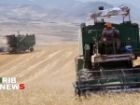 کردستان رتبه برتر کشور در توزیع کود شیمیایی