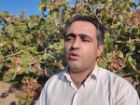 افزایش 50 درصدی مشارکت باغداران و کشاورزان جلفا در طرح شجره طیبه