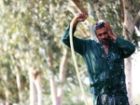 شرجی در خوزستان به 86 درجه رسید
