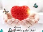 چهارمین اهدای عضو سال جاری در کاشان انجام شد