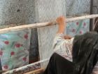آموزش گلیم بافی به 40 متقاضی در روستای راستاب چهارمحال و بختیاری