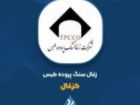 بررسی عملکرد یکساله «کزغال» را اینجا ببینید