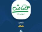 «شگل» از عملکرد فصل اول رو نمایی کرد