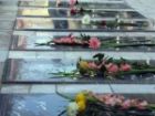 برگزاری آیین مهمانی لاله ها در گلزار شهدای بندرعباس