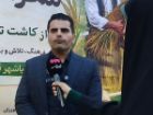 تلاش برای ثبت «روز بندر کیاشهر»؛ جشنواره صیادی در راه است