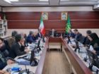 تدوین برنامه برای جهش تولید در صنعت نوغان