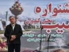 افزایش ارزش افزوده سیب میانه با توسعه سورتینگ و بسته بندی
