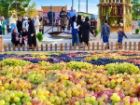 جشنواره انگور ارومیه ظرفیتی برای جذب سرمایه گذار در حوزه گردشگری است