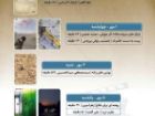 نمایش 6 مستند در هفته دفاع مقدس در سالن حقیقت