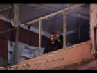 بازگشت پولاد کیمیایی به تلویزیون پس از سال ها با «سرو، سپید، سرخ»