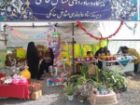 16 عنوان برنامه در هفته فرهنگی فریدن اجرا می شود