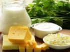 نگاه طب ایرانی به اثرات درمانی پروبیوتیک ها