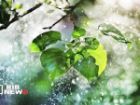 تداوم ناپایداری جوی در آذربایجان شرقی تا اواخر روز چهارشنبه