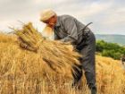 پرداخت بیش از 2 میلیارد ریال تسهیلات اشتغال روستایی در یزد