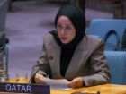 گروه عرب سازمان ملل: صلح منطقه ای منوط به پایان اشغالگری اسرائیل است