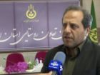 تولید گندم اردبیل از 550 هزار تن عبور کرد