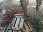 کشف ادوات غیرمجاز صید؛ توقیف 2 شناور