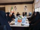 پیگیری مشکلات مادران خانه دار با تشکیل کمیته ویژه در استان