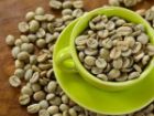 خواص دارویی قهوه سبز در طب سنتی