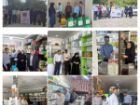 برگزاری مانور فصلی سراسری کنترل واحد های عرضه آفت کش های کشاورزی