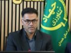 عملکرد سیب زمینی همدان به 42 تن در هکتار رسید