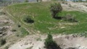 رفع تصرف 19 هزار هکتار اراضی مرتعی استان بوشهر