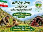 پویش نهال کاری 15 مهر برگزار می شود