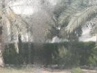پیش بینی افزایش رطوبت و شرجی از روز شنبه در جنوب غرب خوزستان