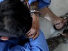 گل محمدزاده: اراذل و اوباش قمه کش در بجنورد دستگیر شد