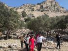 انحراف خودرو در جاده کازرون به شیراز با یک فوتی و 2 مصدوم