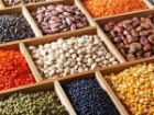 ثبت سفارش واردات انواع حبوبات به زودی آغاز می شود