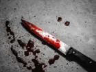 همسایه کشی در باغ فیض تهران