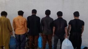جمع آوری 61 تبعه غیرمجاز و 18 سارق در طرح امنیت محله محور زابل