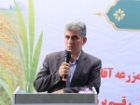 تحقیق برای تجاری سازی پرورش گوسفند تالشی در گیلان