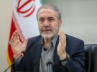 ذوالفقاری: کشت خشخاش ممنوع است