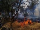آتش سوزی در منطقه حفاظت شده بوزین و مرخیل تحت کنترل نیروهای عملیاتی