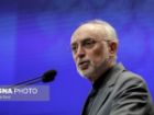 صالحی: کشورهای همسایه تمایلی ندارند با تحریف نام خلیج فارس هم ذات پنداری کنند