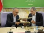 تفاهم نامه سه جانبه تولید شیرخشک نوزاد امضا شد