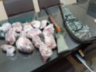 کشف لاشه کل و بز وحشی و سلاح شکاری از مخفیگاه شکارچی متخلف در رودبار