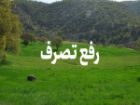 رفع تصرف 2600 مترمربع از اراضی ملی در حوزه سارال دیواندره