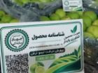 خرما و لیموترش فارس برای نخستین بار کد QR می گیرند