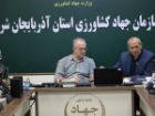 امنیت غذایی آذربایجان شرقی در گرو پرداخت به موقع مطالبات گندمکاران است