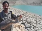 حواصیل خاکستری پس از درمان به زیستگاه دالانکوه بازگشت