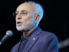 صالحی: الموت را از سایه یک قلعه تاریخی بیرون بیاوریم