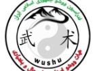 درخشش بانوان ووشوکار چهارمحال و بختیاری در ترکیب تیم های برتر لیگ کشور